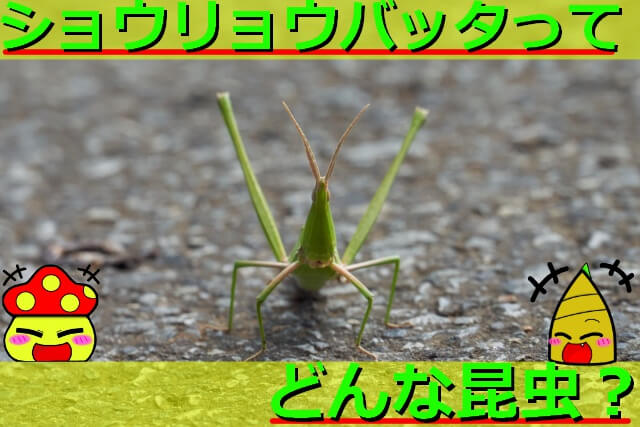 Thumbnail of post image 015